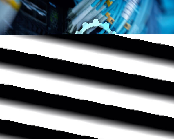 越南VPS证券公司全称及其服务特色